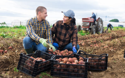 Meeting farming’s sustainability challenge: circular approaches to make agriculture ‘greener’ and more profitable