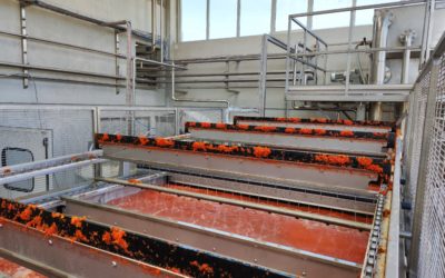 December 10th 2025: From petri dish to pilot plant – Industry lessons for navigating the scale-up of biorefineries