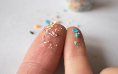 The agri-food sector’s hidden plastic problem: It’s not just waste, it’s a permanent footprint