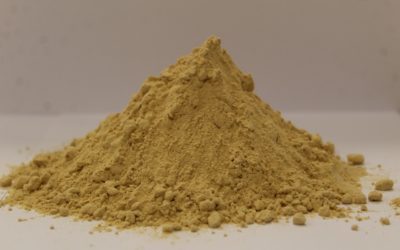 From fries to fish feed: The hidden value in potato processing water