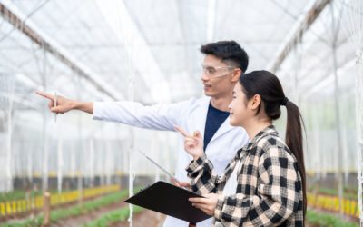 25th May 2026: How to evaluate agrifood valorisation pathways based on stakeholder preferences