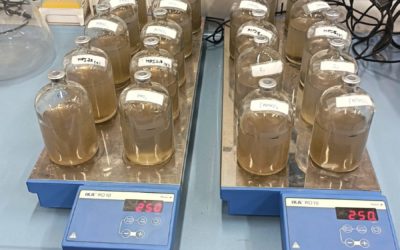 Transforming farm waste into biodegradable plastic