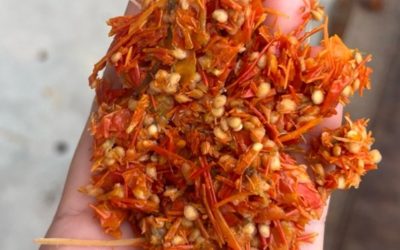 How the industry of tomato sauce could help eradicate persistent plastic?